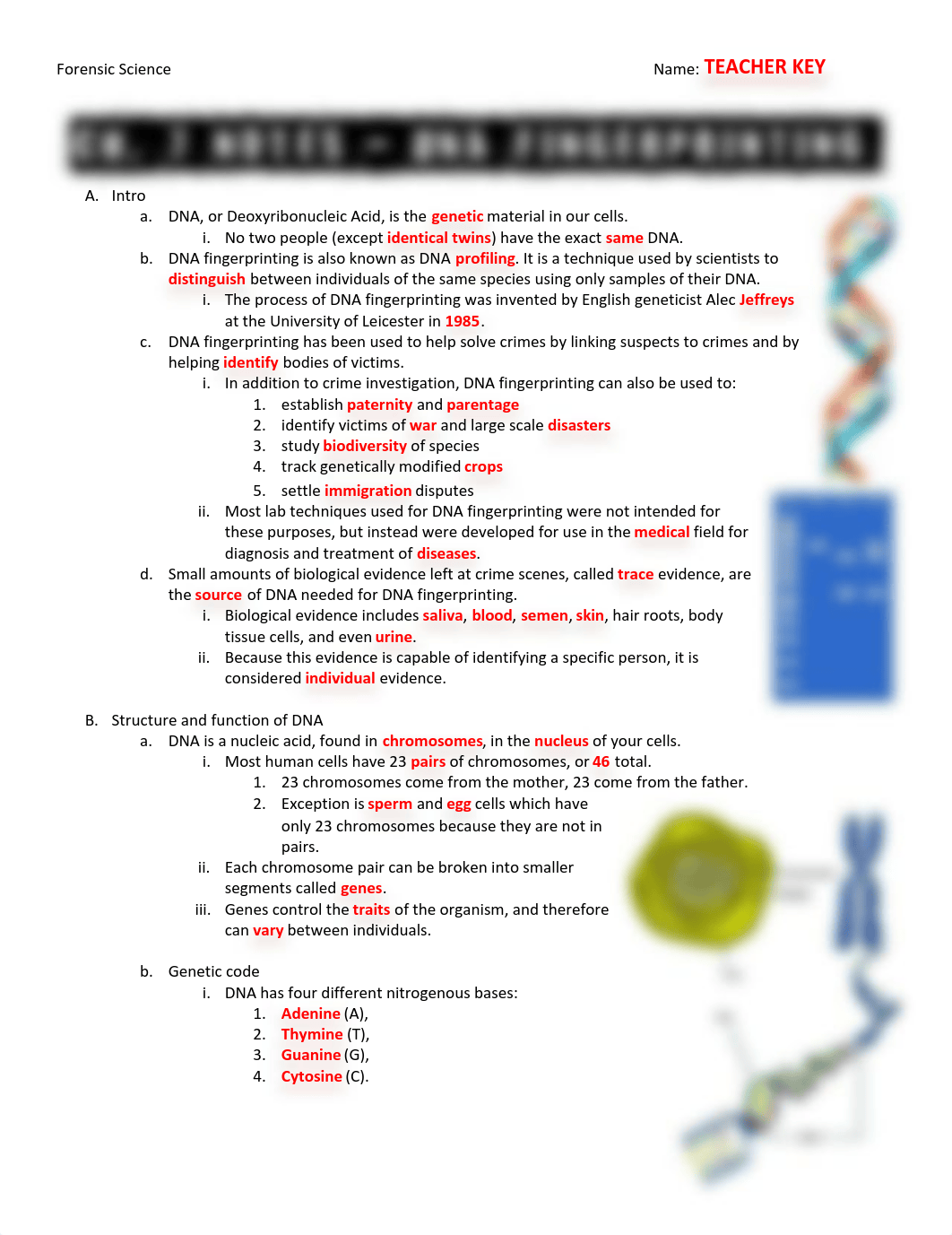 Ch 7 Notes _ Teacher Key.pdf_dypt1pe3rwy_page1