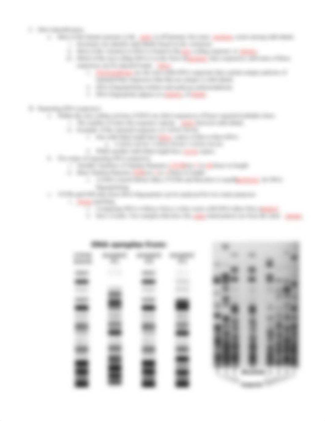 Ch 7 Notes _ Teacher Key.pdf_dypt1pe3rwy_page3