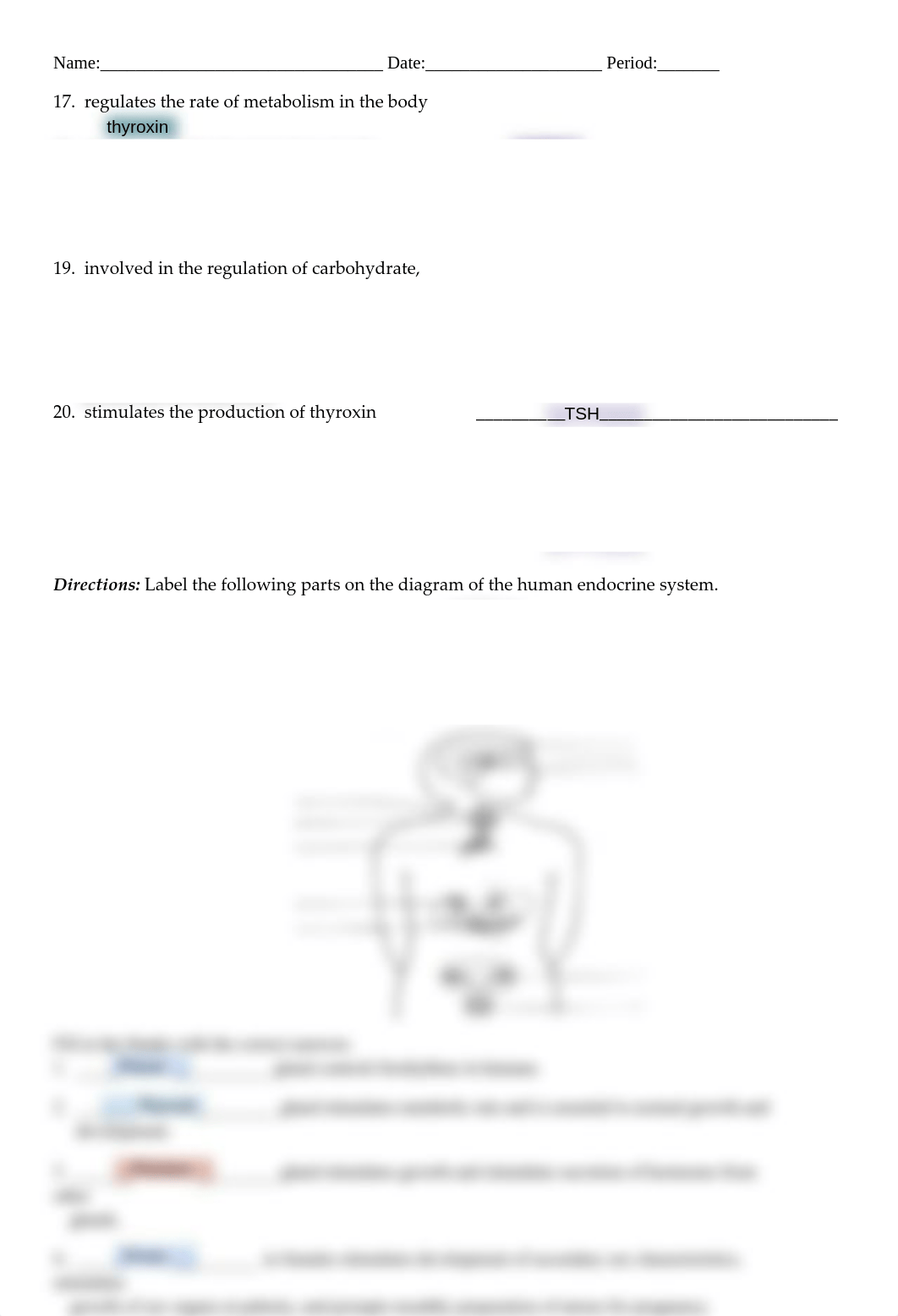 Human endocrine hormones modified worksheet.docx_dypytkfb08w_page2