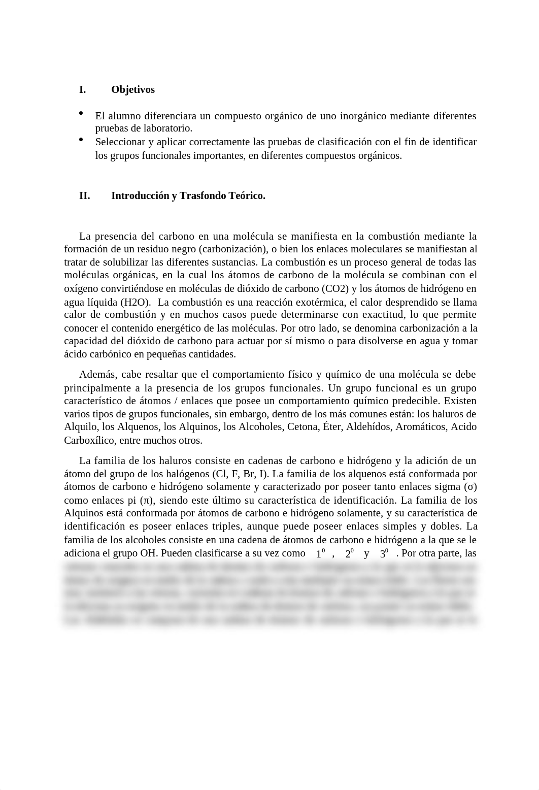 Informe de Laboratorio Avanzado 1 (editado).docx_dyq05zwfox0_page3