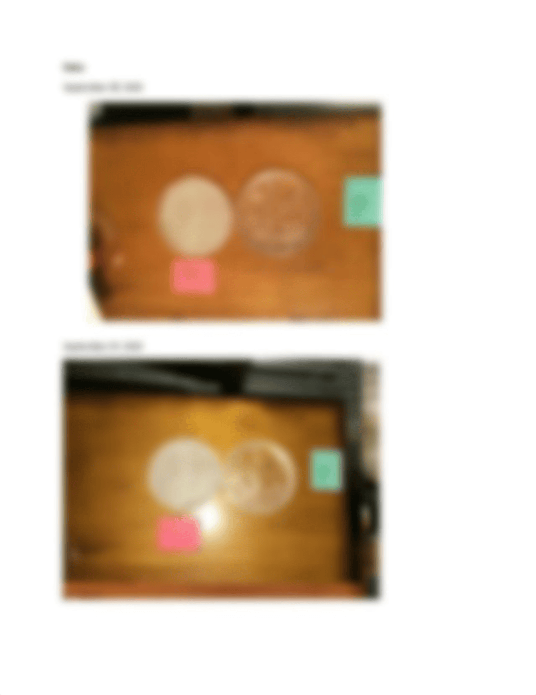 CRYSTAL GROWING LAB_dyq1hisasq3_page3