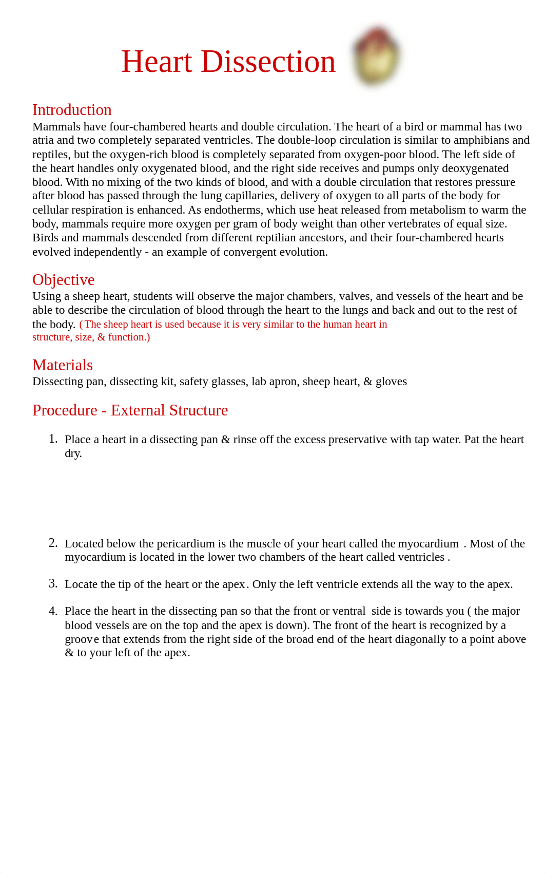 Sheep_heart_dissection.doc_dyq2q426afs_page1