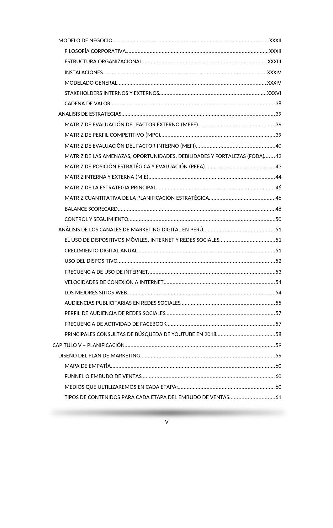 imforme de investigacion  de marketin digital a  nivel nacional.pdf_dyq43xltw5n_page5