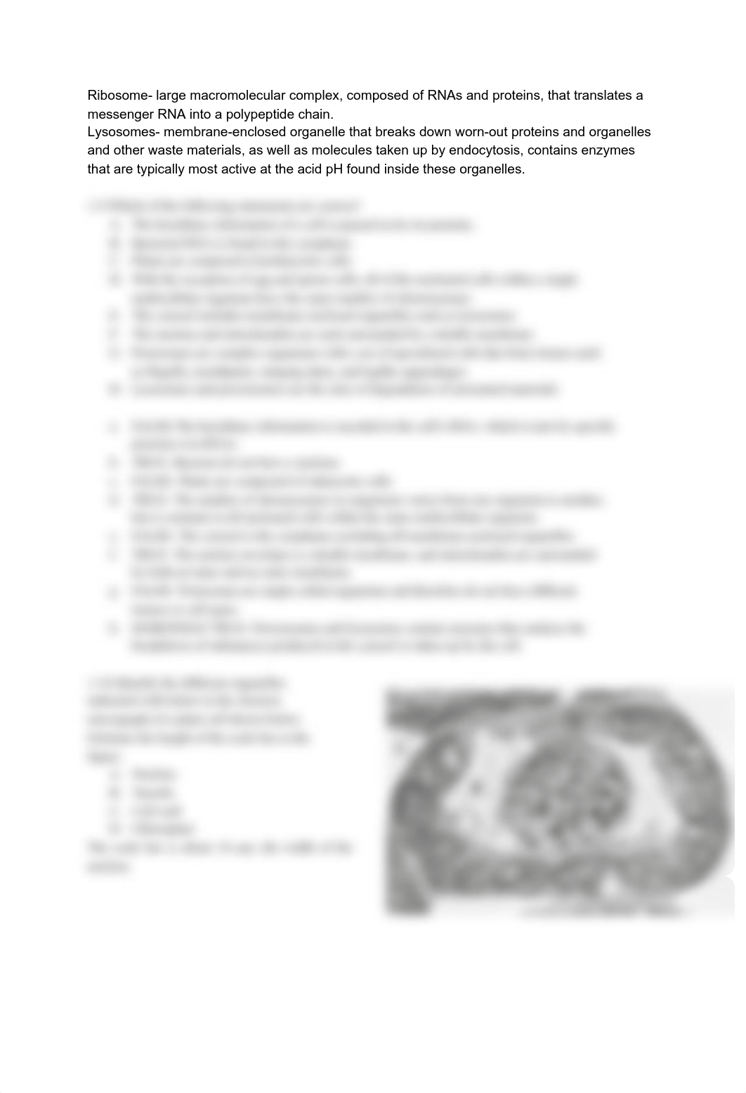 EXAM CELL AND MOLEC.pdf_dyq6my1vm5n_page2