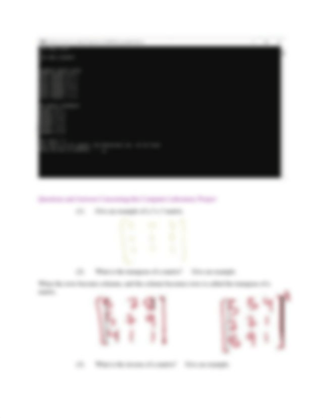 lab 10 matrix (hamnah).docx_dyqgqv8vnwh_page4