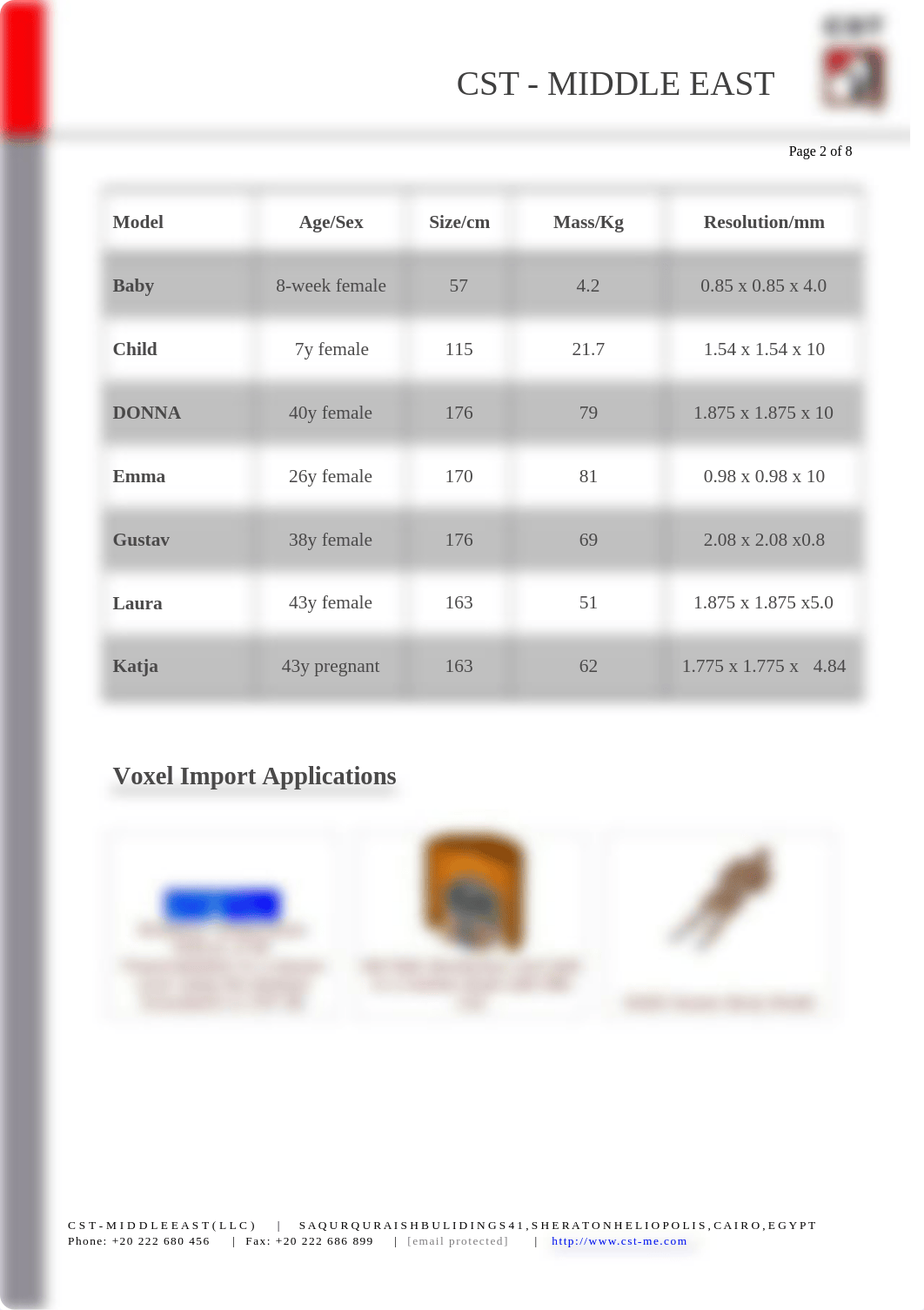 Voxel Human Body Model_dyqjaye9lcs_page2