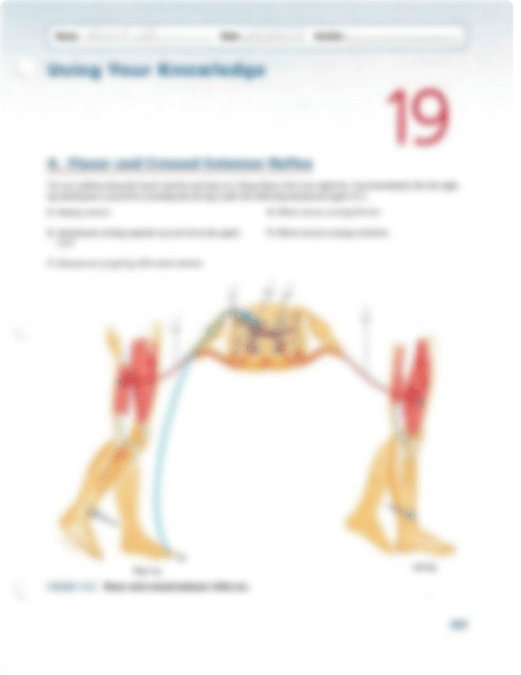 RYK-UYK 19.pdf_dyqjjl1j5eb_page3