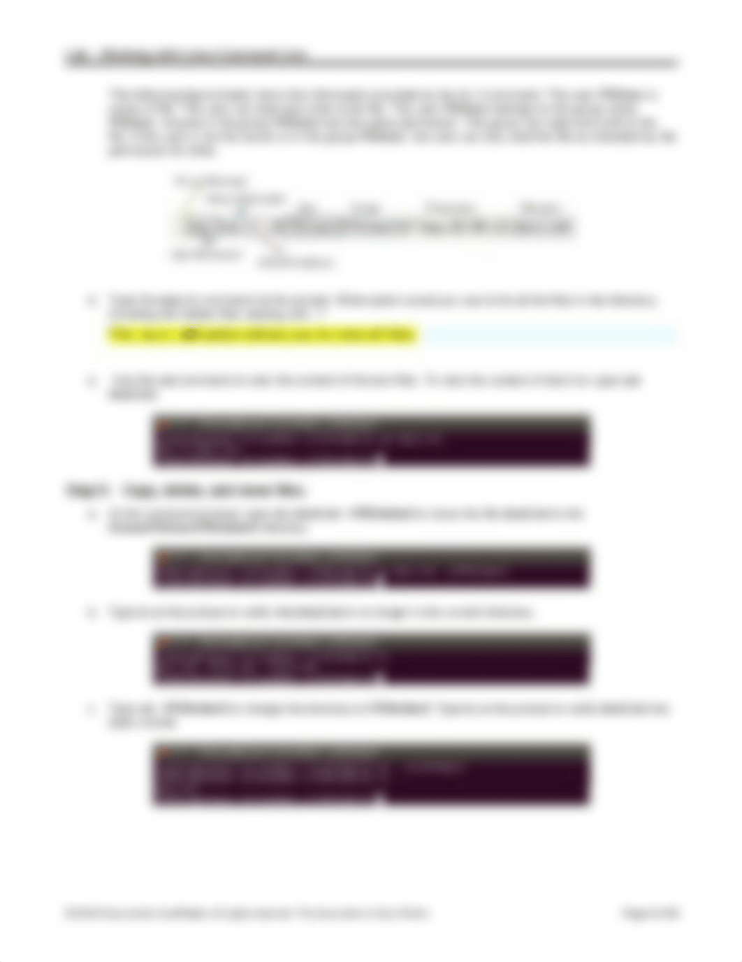 10.4.3.3 Lab - Working with the Linux Command Line.docx_dyqjo6m6cef_page4