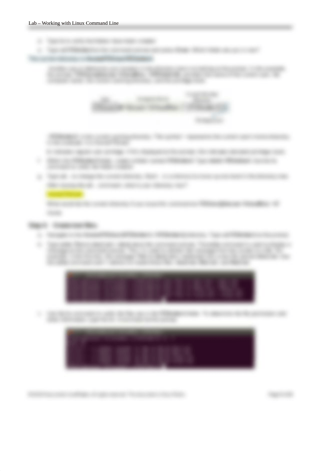 10.4.3.3 Lab - Working with the Linux Command Line.docx_dyqjo6m6cef_page3