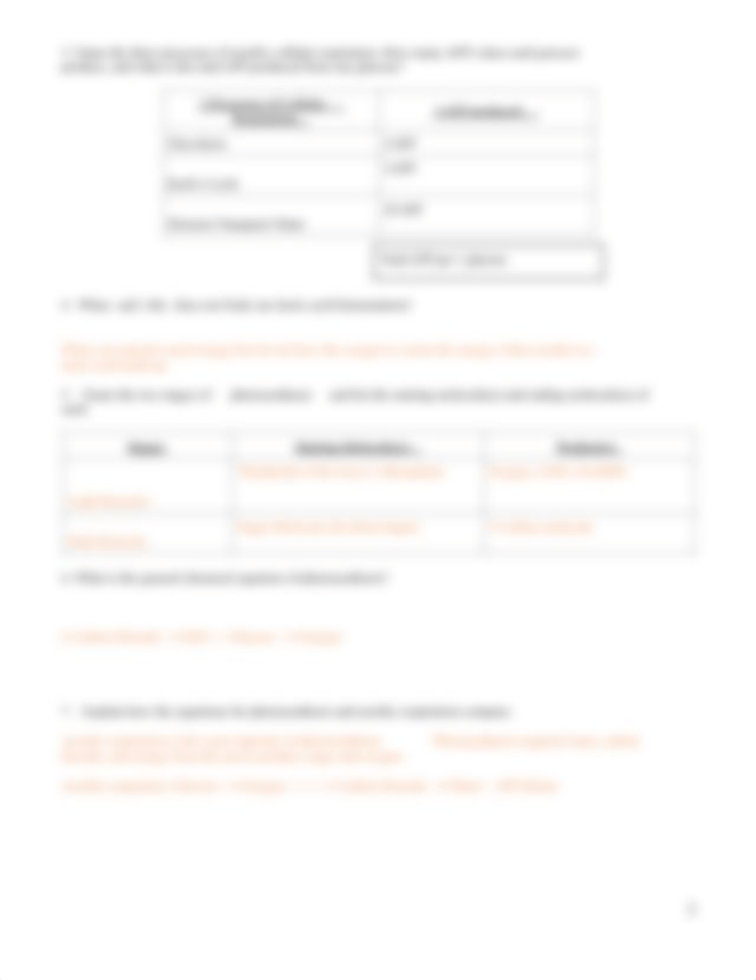 Cell Resp and Photosyn Summary WS.pdf_dyqof97bxyf_page2