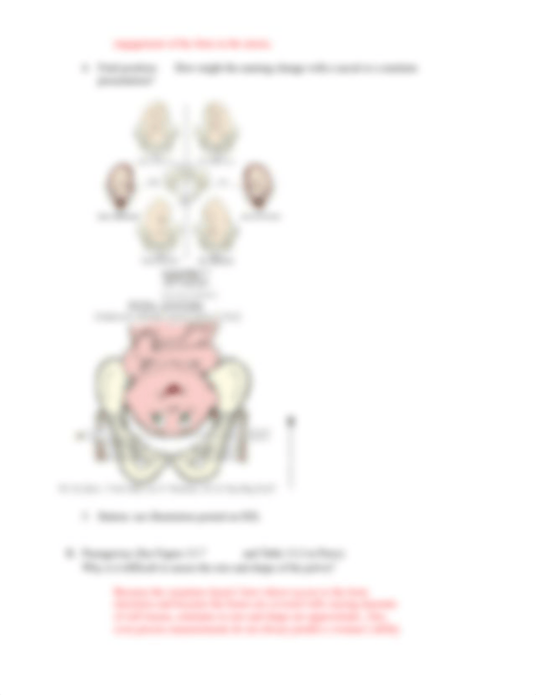 Labor and Delivery  learning guide jalane (1).docx_dyqq6mn1oj1_page3