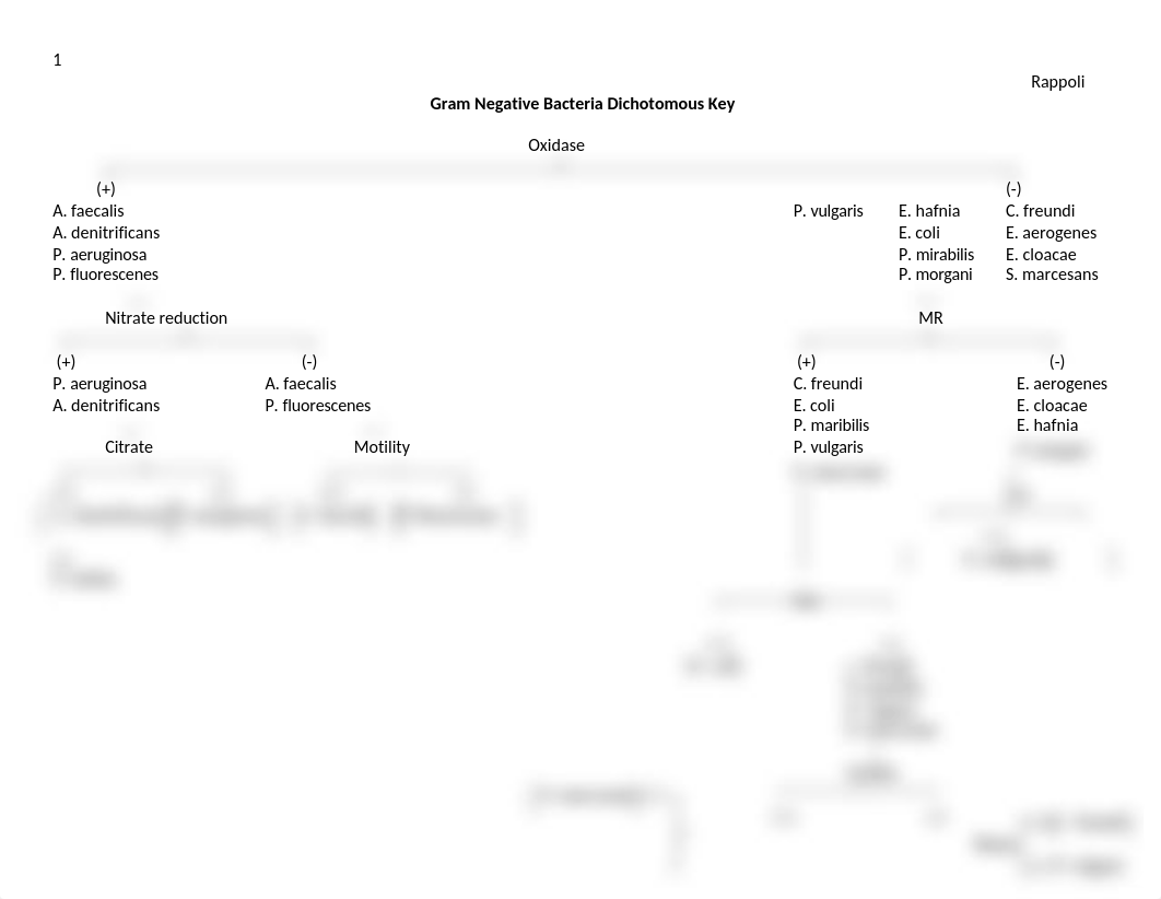 Gram Negative Bacteria flow chart.docx_dyqzn14td7t_page1