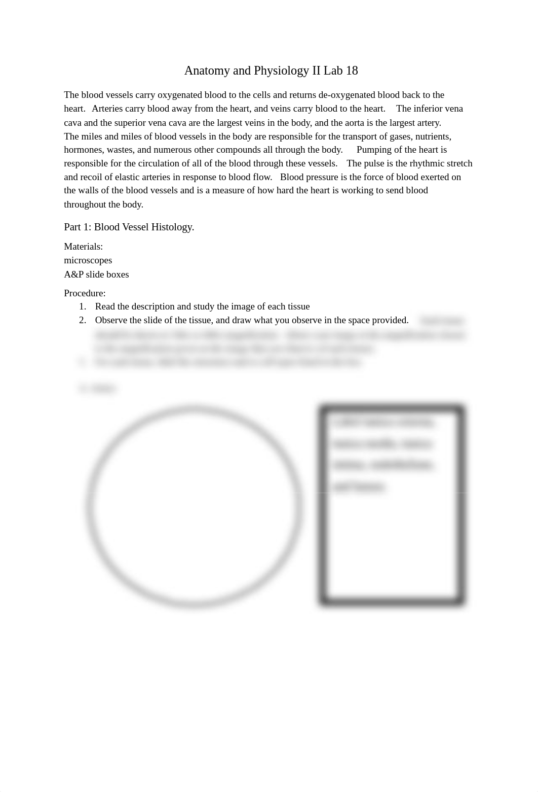 AP II Lab 18 procedure.docx_dyr4qzqvbkv_page1