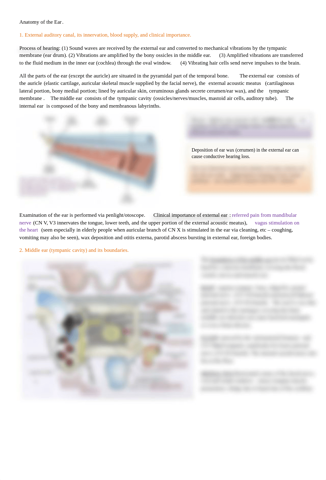 Anatomy of the Ear.pdf_dyr5rff3u24_page1