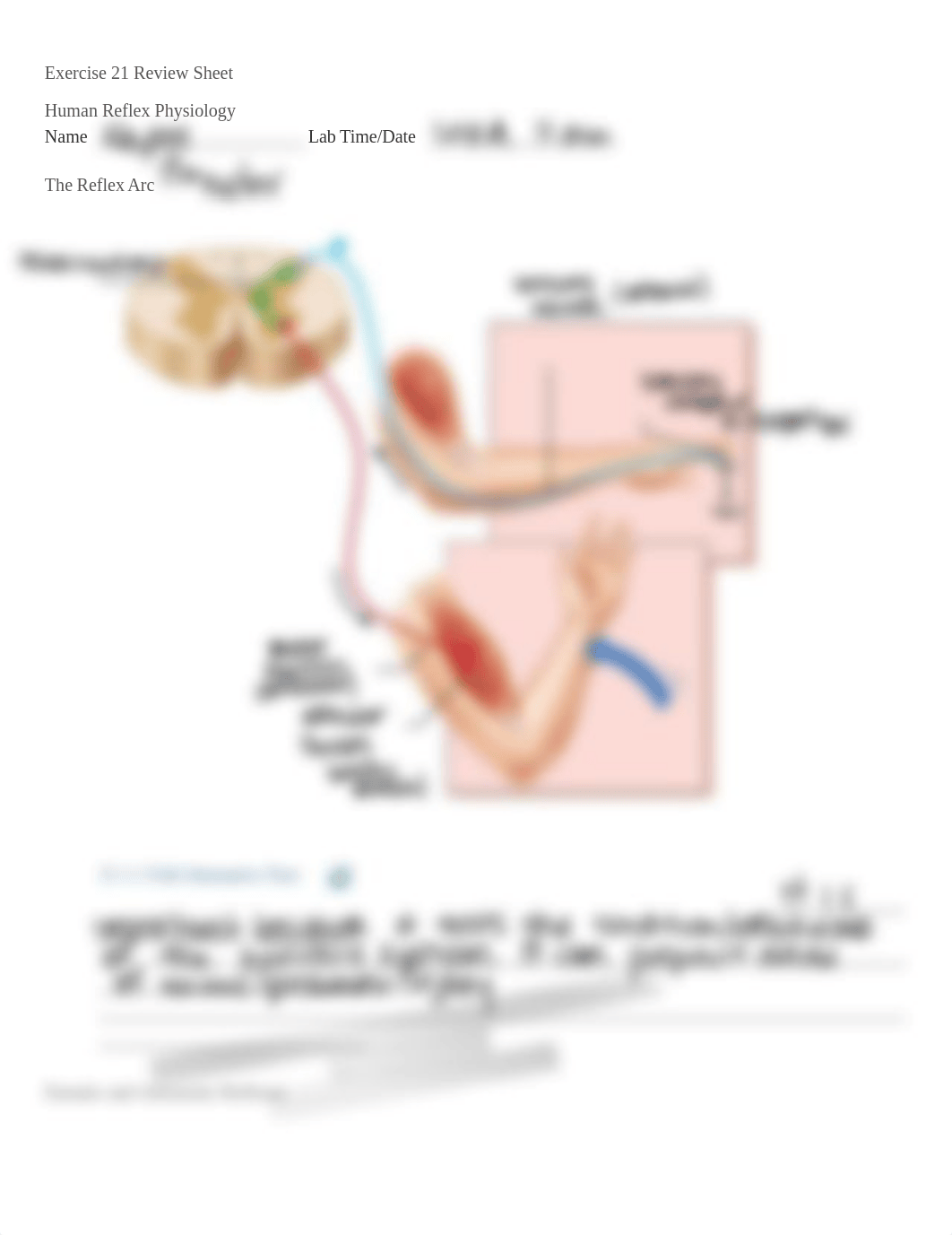 Exercise 21 .pdf_dyr7gewtub2_page1