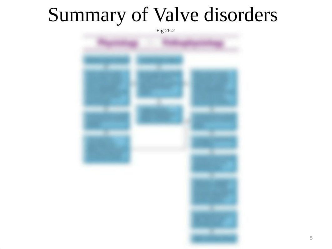 N211 SU19 Valvular Heart Disease.pptx_dyr8to27qha_page5