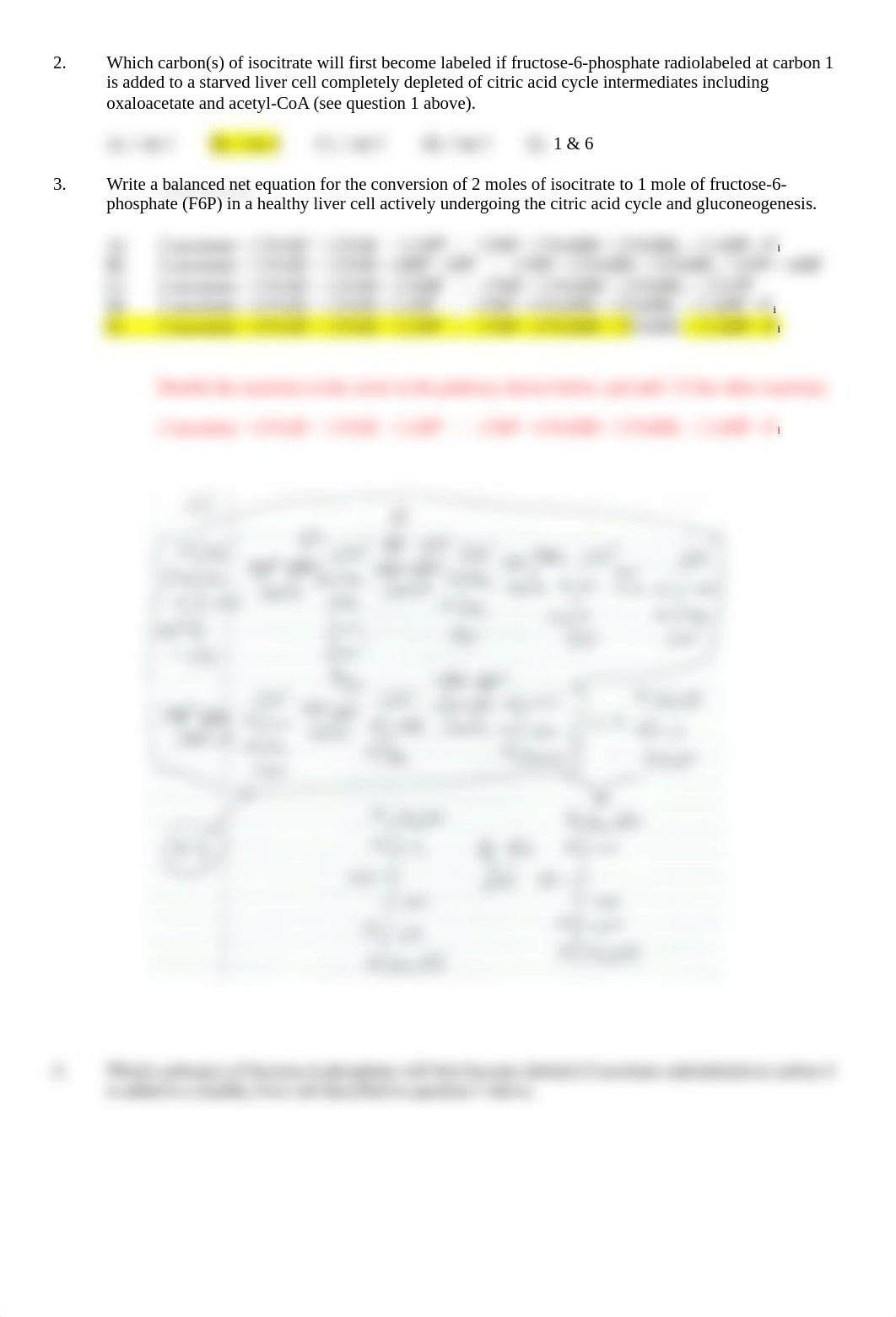 Biochem Exam 2.docx_dyrczi4rr0s_page2