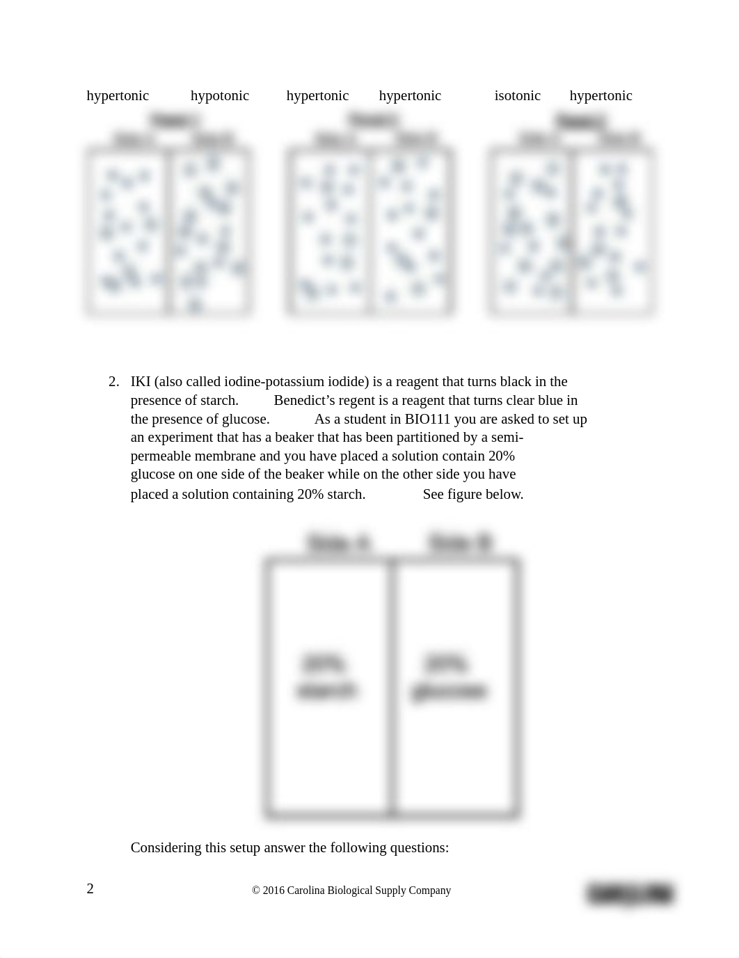 Lab_Report_Eukaryotes_Prokaryotes_and_Viruses.pdf_dyri7gyqm1a_page3