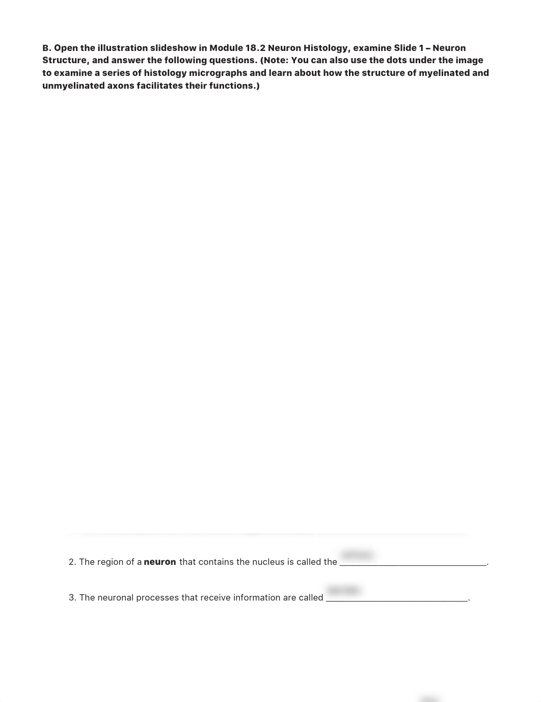 A&P1 Spinal Cord & Spinal Nerves.pdf_dyrmlztn8d6_page5