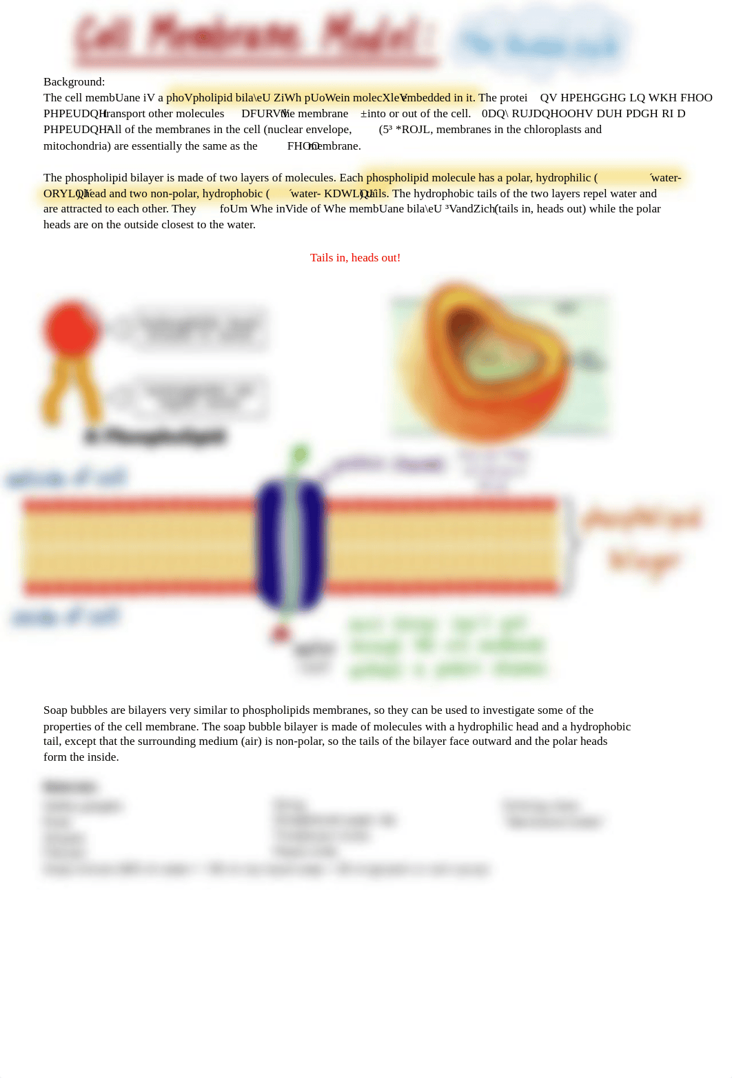 Cell Membrane Lab Procedures .pdf_dyroonbjuly_page1