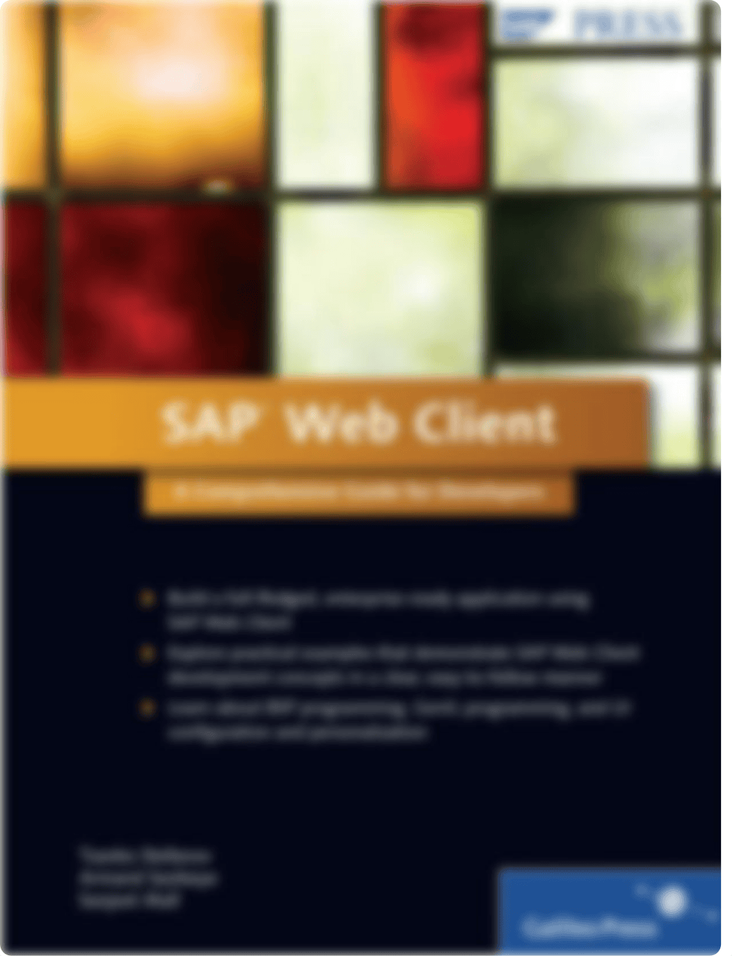 SAP Press - SAP Web Client - A Comprehensive Guide for Developers.pdf_dyrutxedw6b_page1