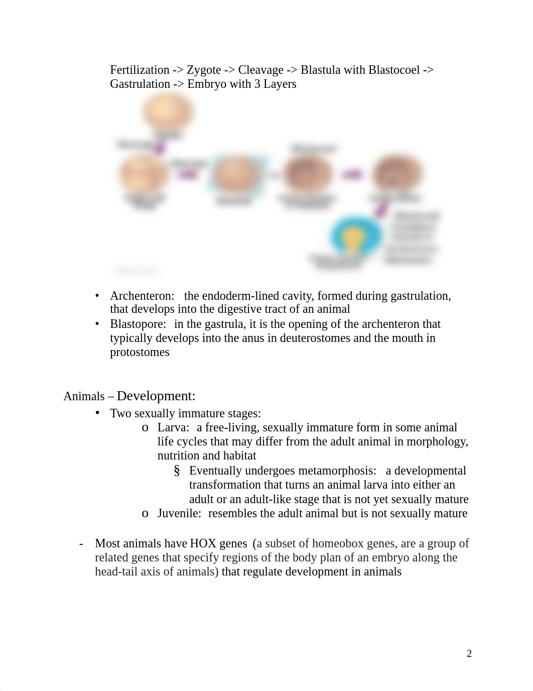 Final Exam Notes.pdf_dys10du9and_page2