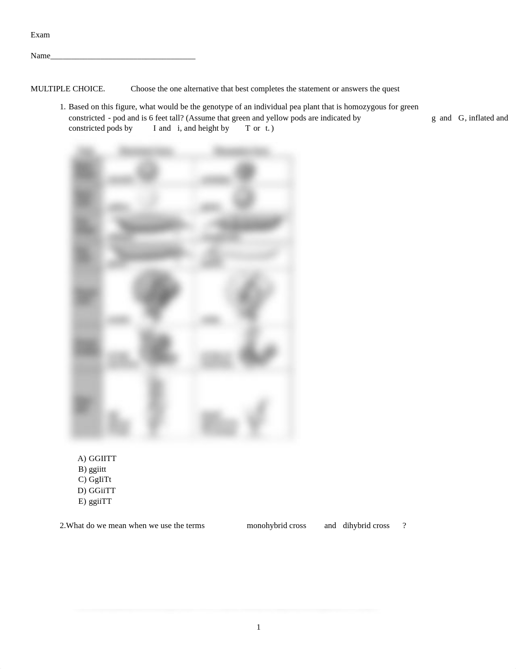 WS-Genetics_dys54awpnwj_page1