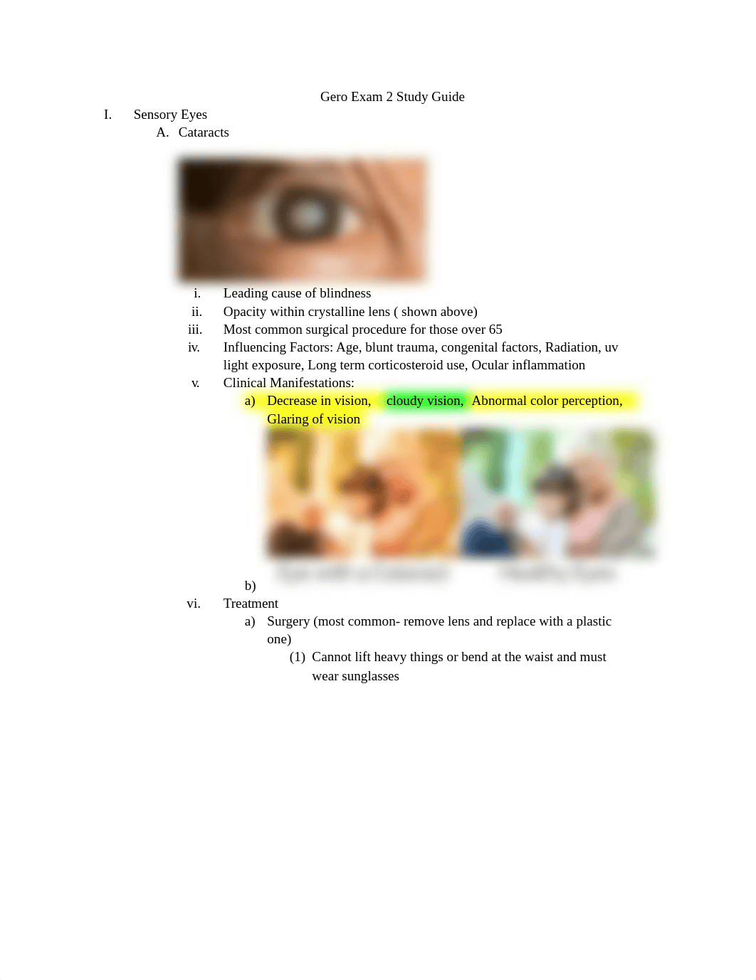 Gero Exam 2 Study guide.docx_dysddmtzvcz_page1