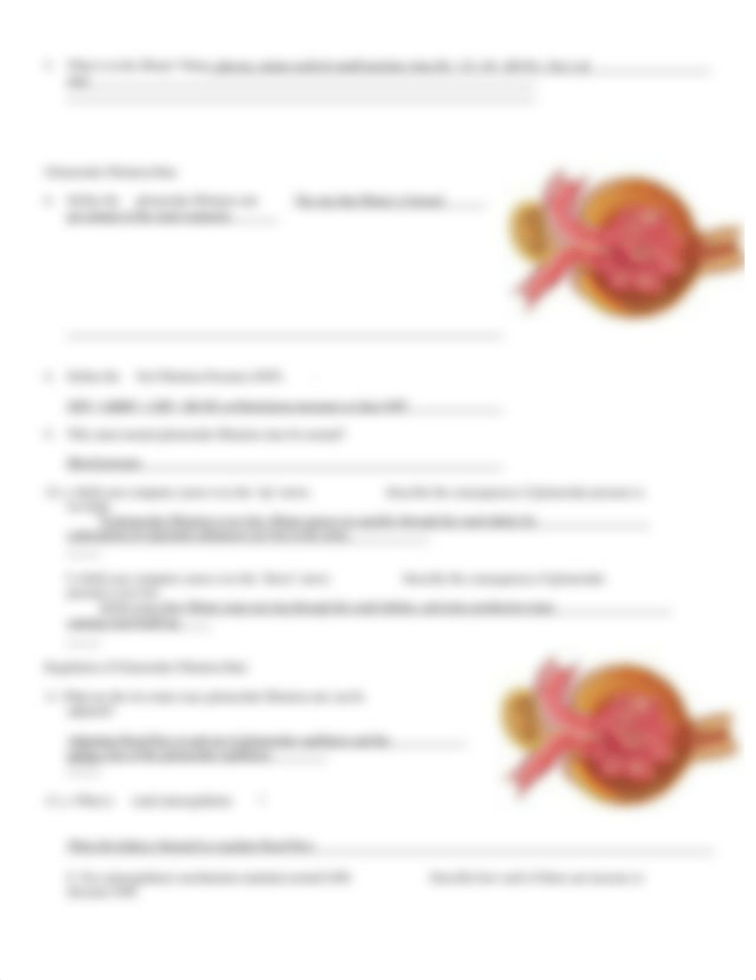 CH26+Renal+Filtration_dysdmi9csla_page2