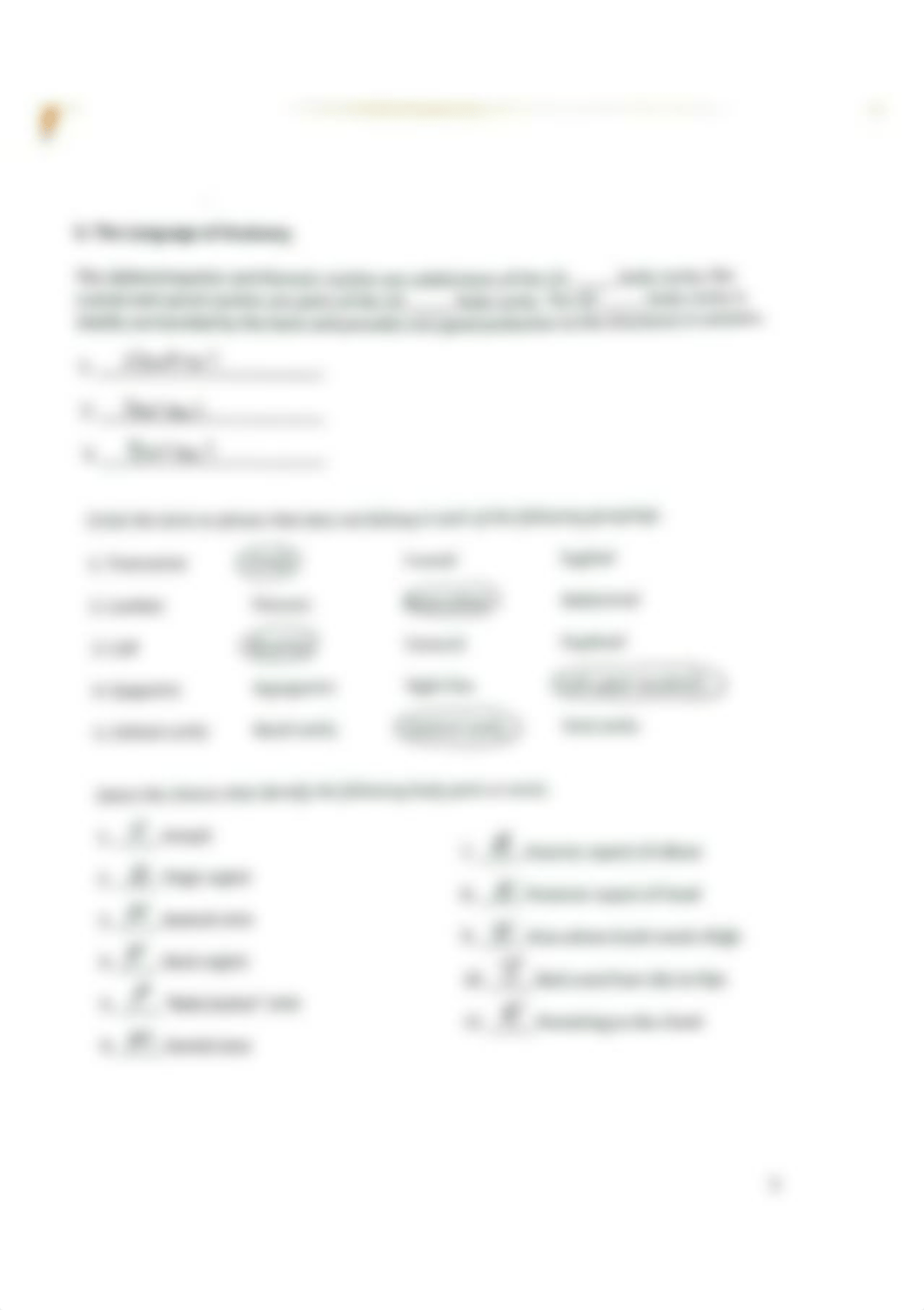 coloring-pages-blood-answers-and-answer-key-free-bone-matrix-color.jpg_dysh78y2fzp_page1