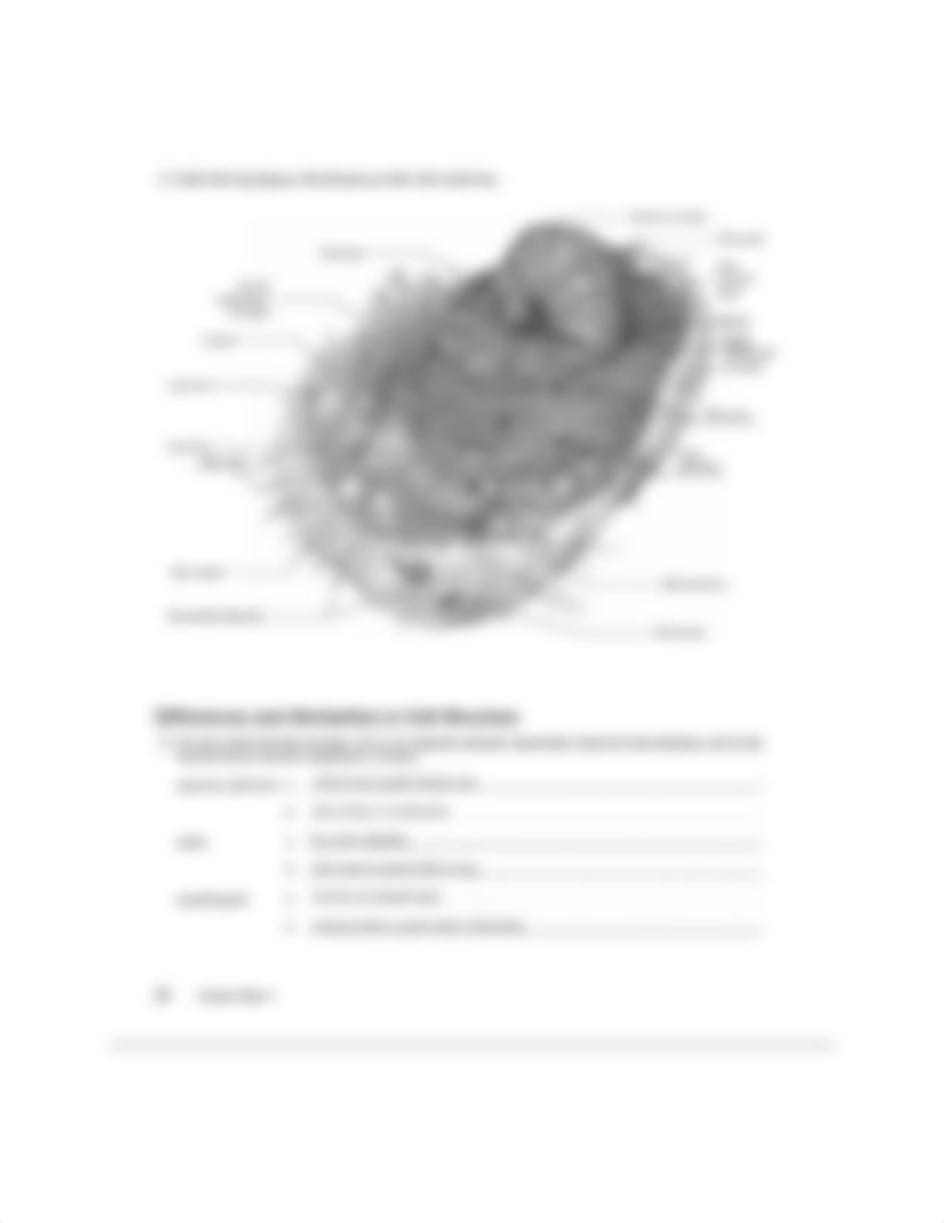 Lab Book - RS 4.pdf_dysjzqc0dub_page2