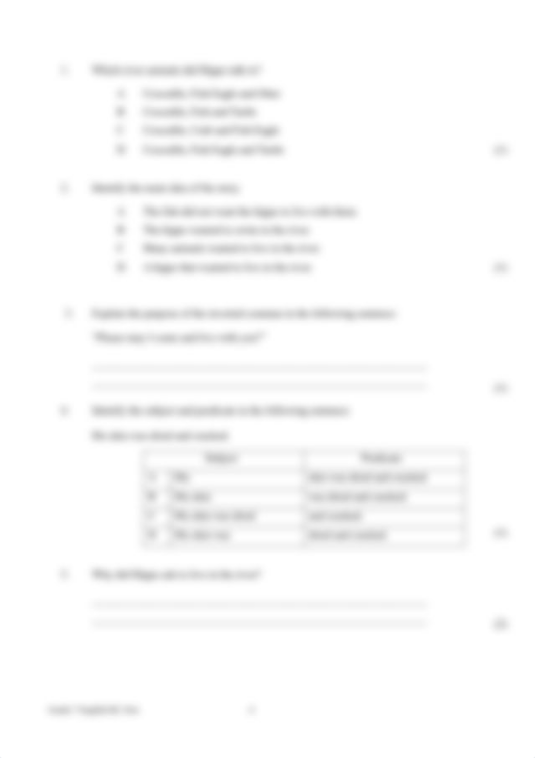 2015_Grade_7_English_HL_Test.pdf_dysw84mmn97_page5