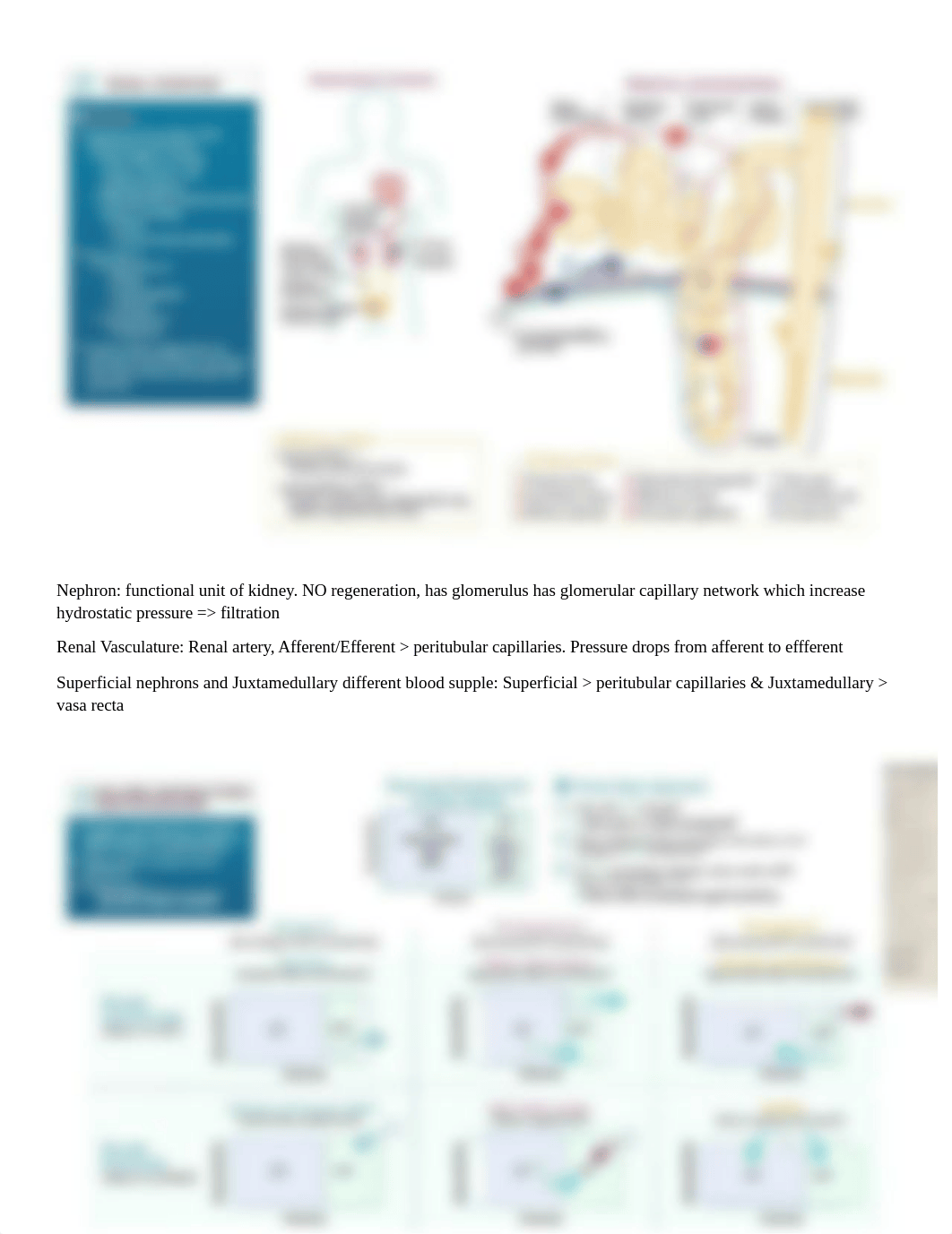 Nephron.docx_dysw8jokzpf_page1