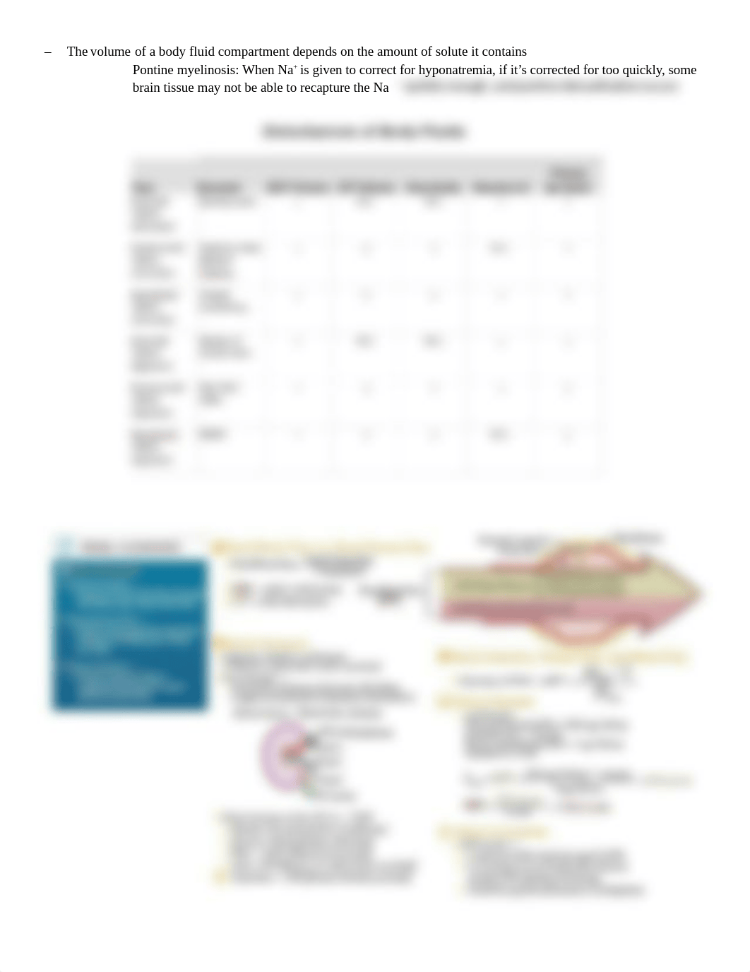 Nephron.docx_dysw8jokzpf_page2