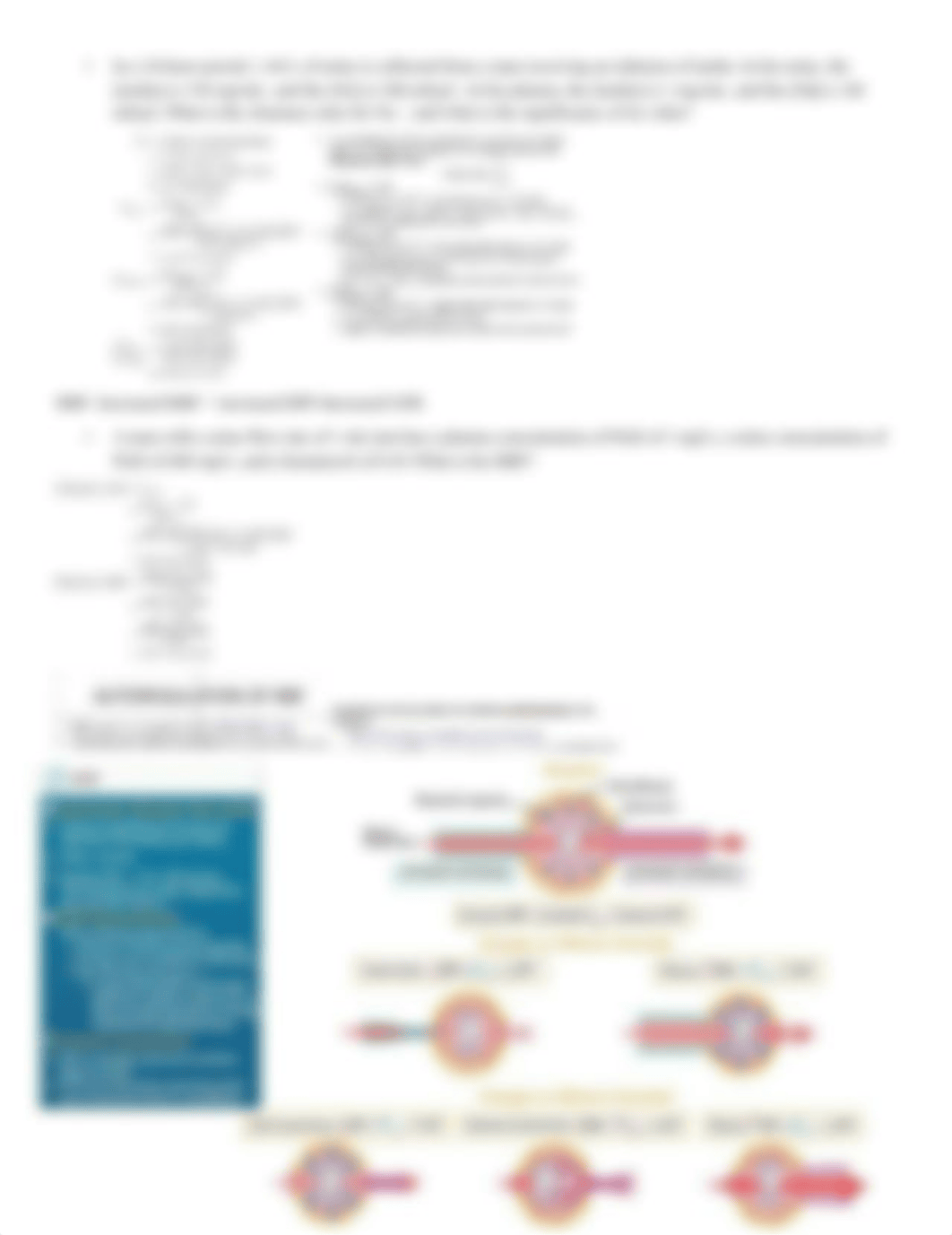 Nephron.docx_dysw8jokzpf_page3