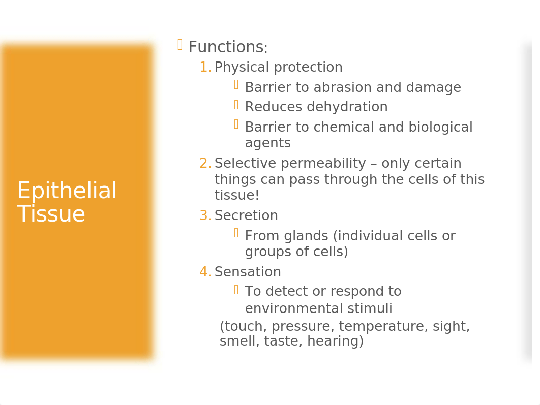 BIOL201R Lecture4Histology FA20.pptx_dyt0z3vlt0a_page5