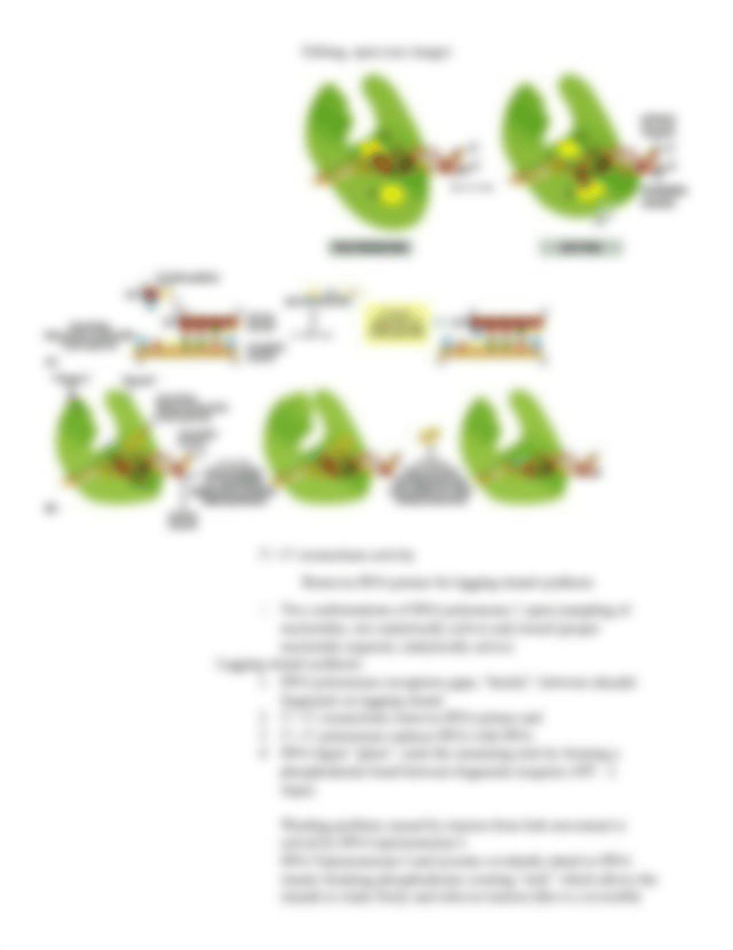 Genetics_Final_Exam_Review_F20.docx.pdf_dytqwp78rc1_page3