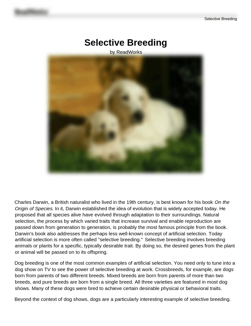 Read Works Selective Breeding.docx_dytt1j1dm5c_page1