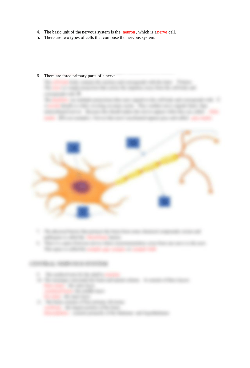 CH12 NERVOUS SYSTEM PRETEST STUDY SHEET - HLTH 125.docx_dytugayogas_page2