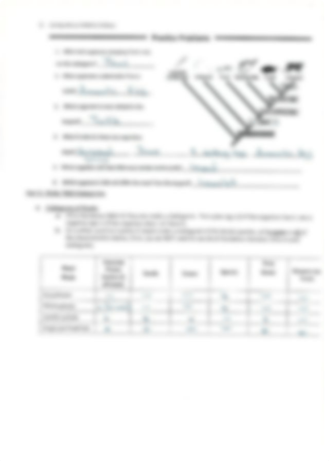 KEY Cladogram practice questions (2).pdf_dytv7pt5yu7_page2