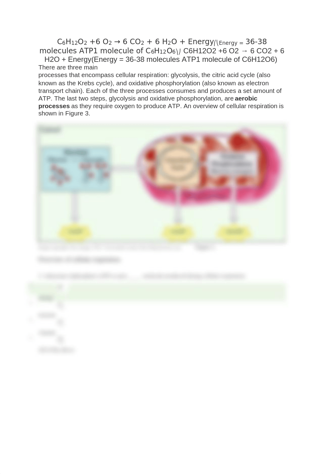 Cell respiration lab.docx_dyty5memrx0_page4