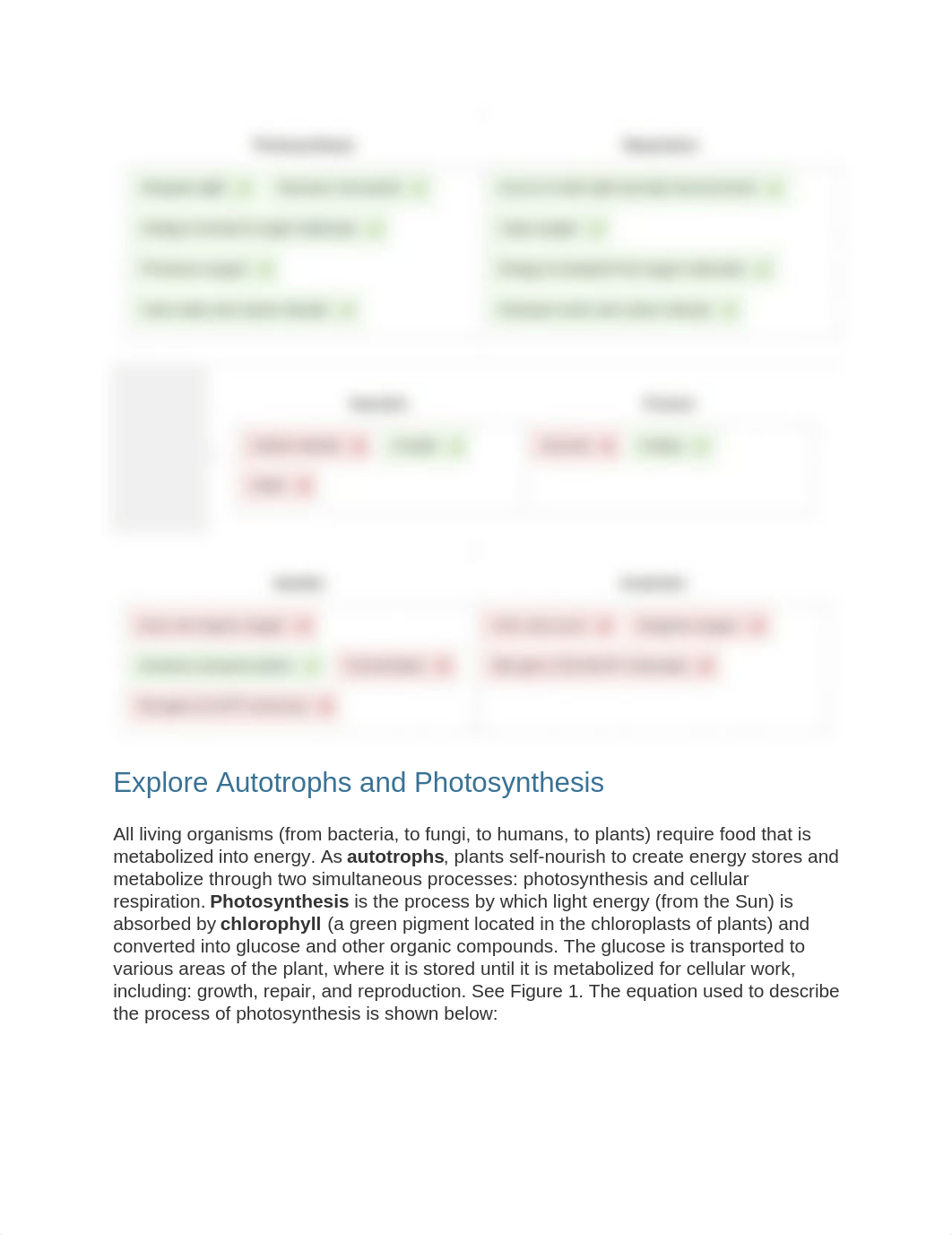 Cell respiration lab.docx_dyty5memrx0_page1