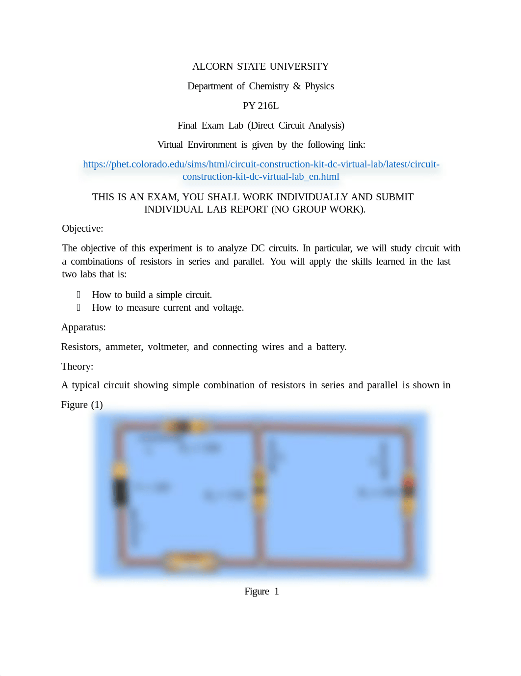 Final Lab PY 216 (Lab Manual and Questions).pdf_dyu1sxdj5g7_page1