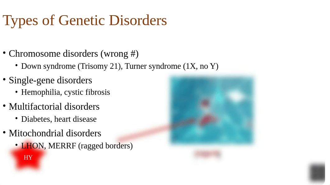 Genetics 1.pptx_dyu2bczl4ui_page3