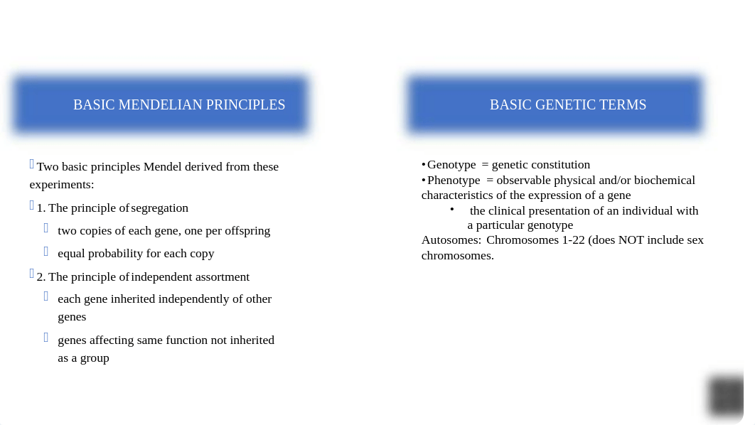 Genetics 1.pptx_dyu2bczl4ui_page2