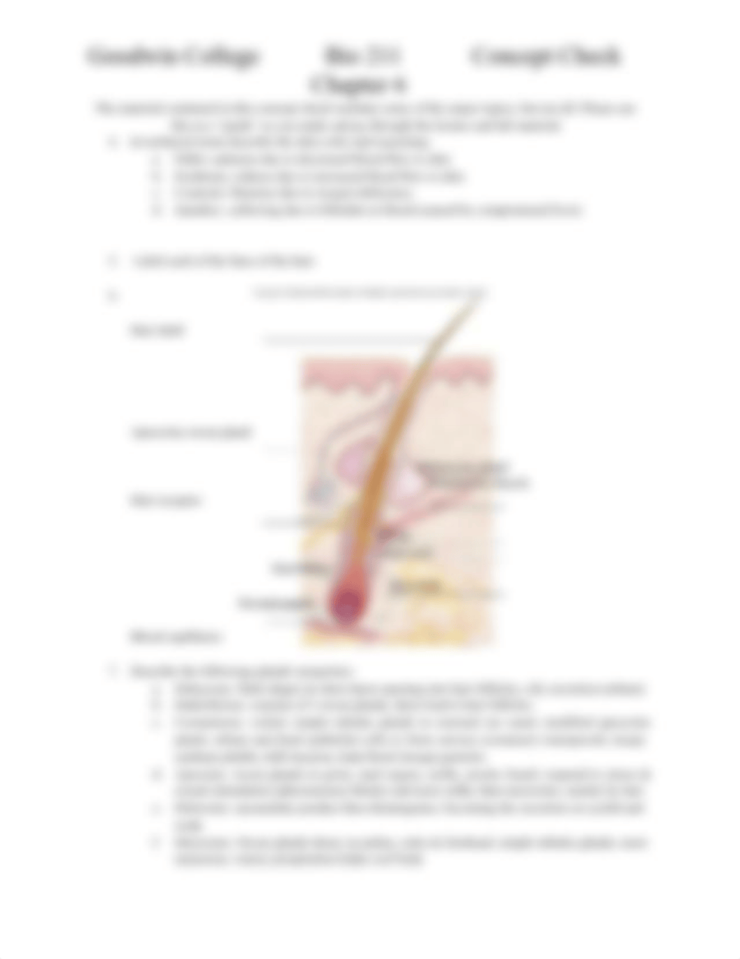 Chapter 6 Concept Check BIO211(1).docx_dyu2sa9zo9l_page2