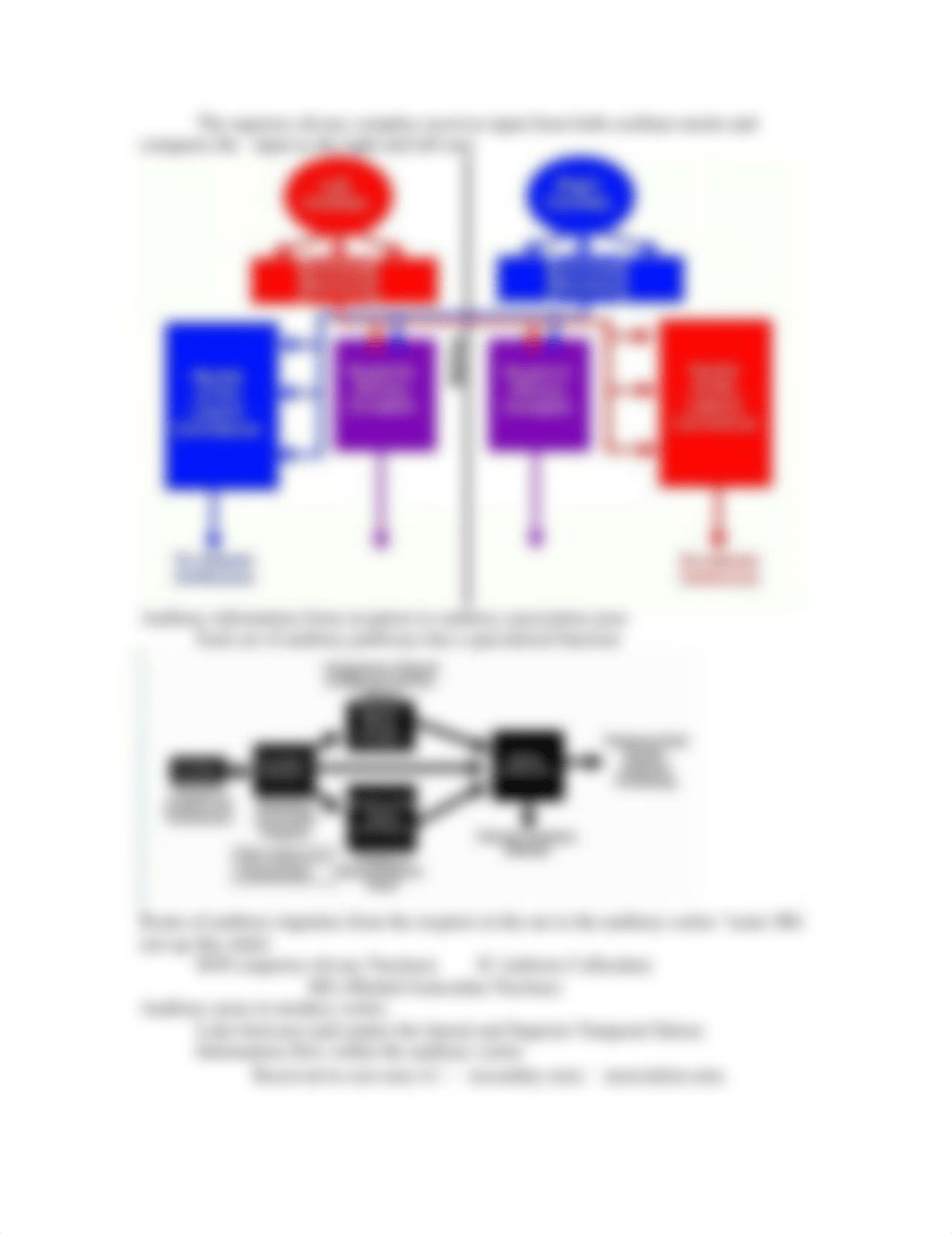 The Central auditory system_dyu83ywmlch_page3