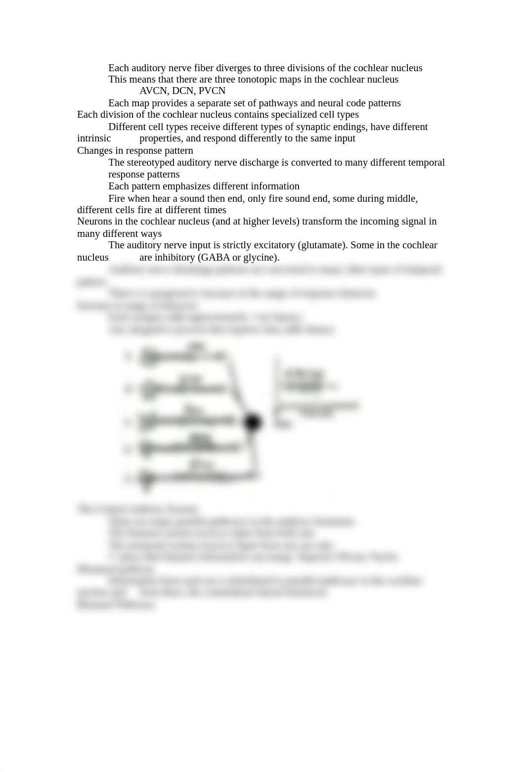 The Central auditory system_dyu83ywmlch_page2