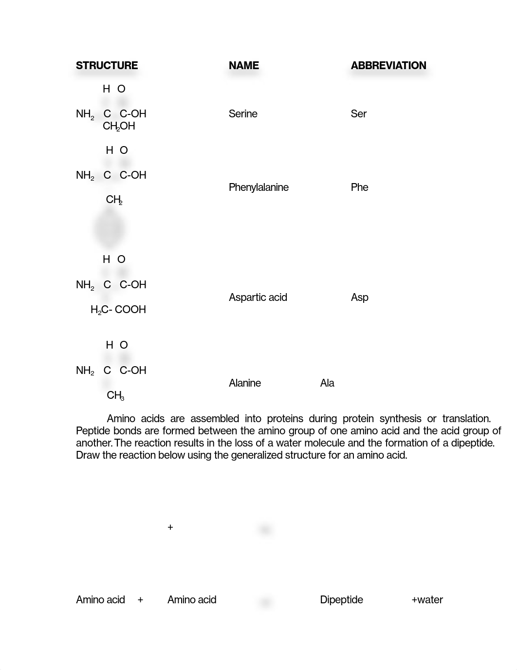 Lab 11 Proteins.pdf_dyu87v0swzx_page2