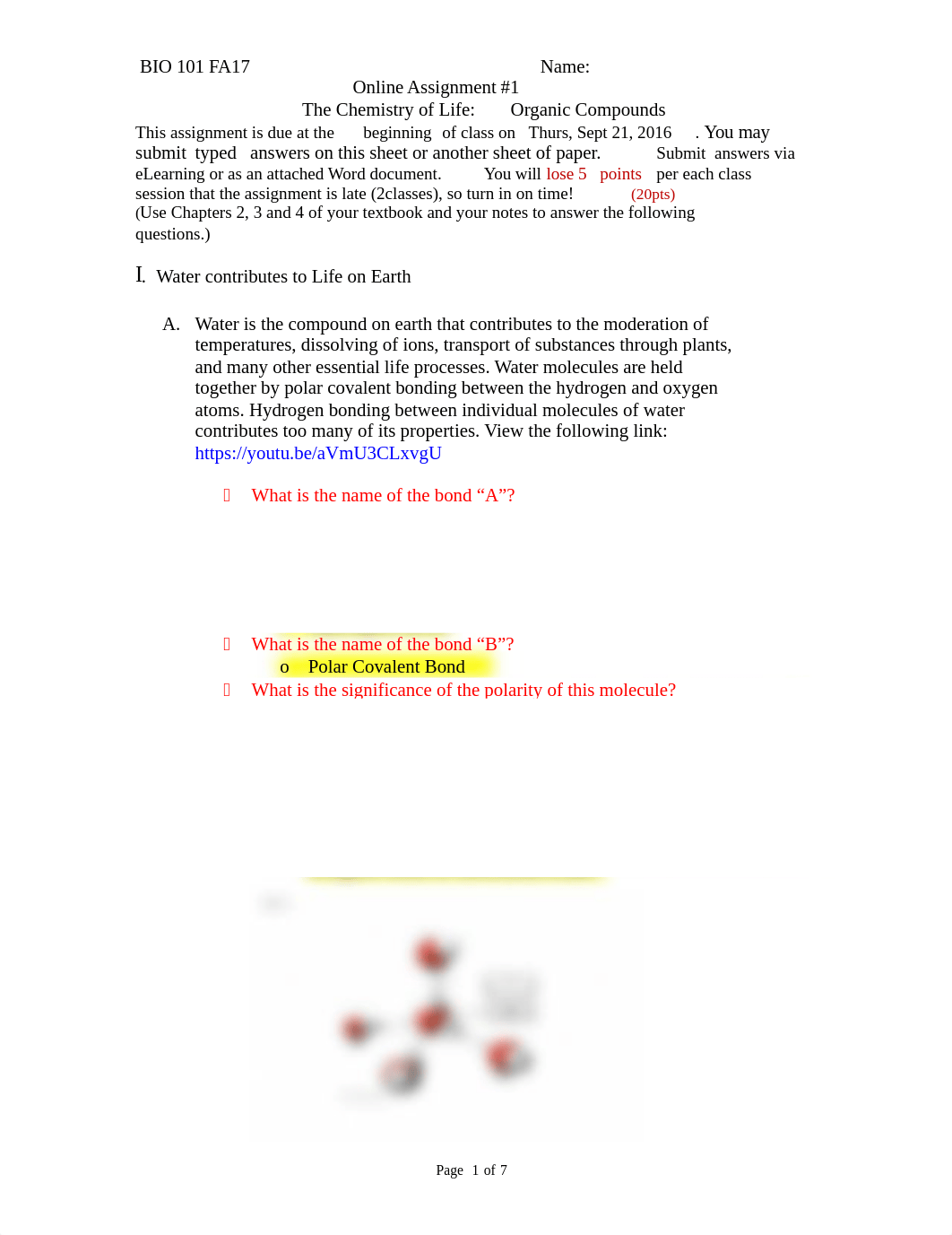 BIO- Online Assignment #1.doc_dyuc6fjg67w_page1